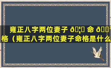 雍正八字两位妻子 🦈 命 🌳 格（雍正八字两位妻子命格是什么）